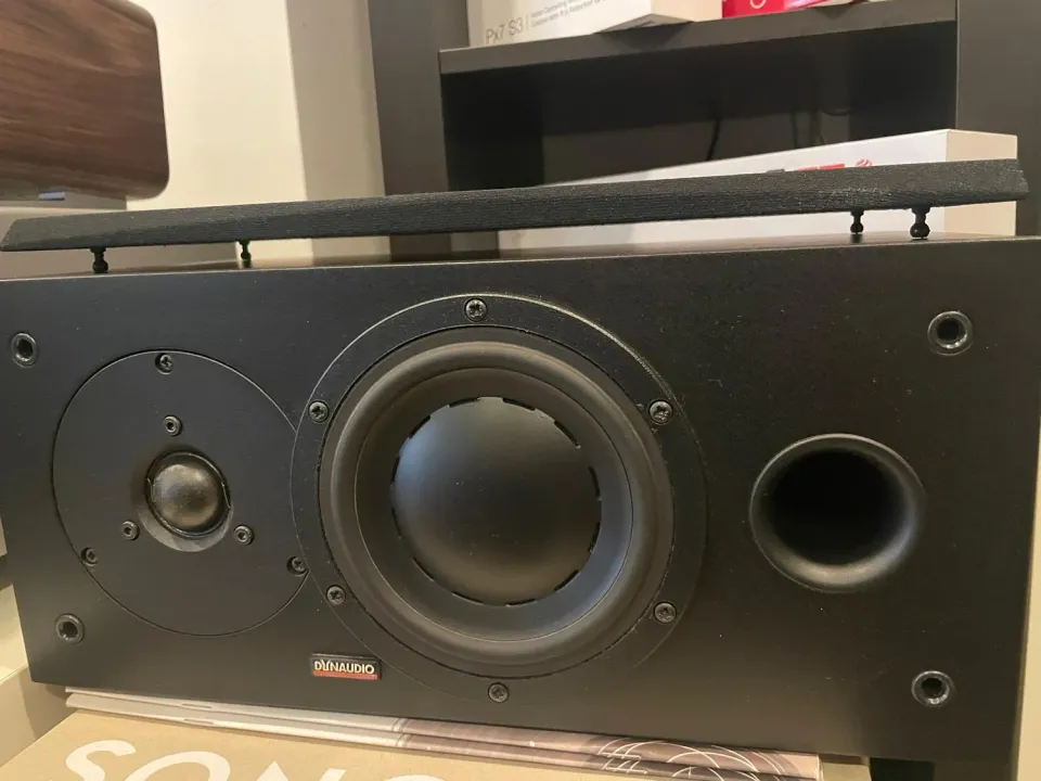 Dynaudio Audience 42C centrale usato rosewood