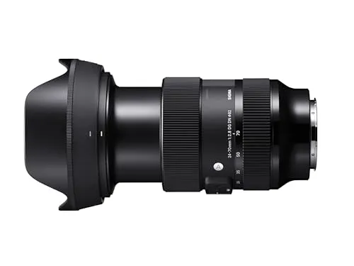 Sigma 24-70mm F2.8 Art DG DN obiettivo Sony E