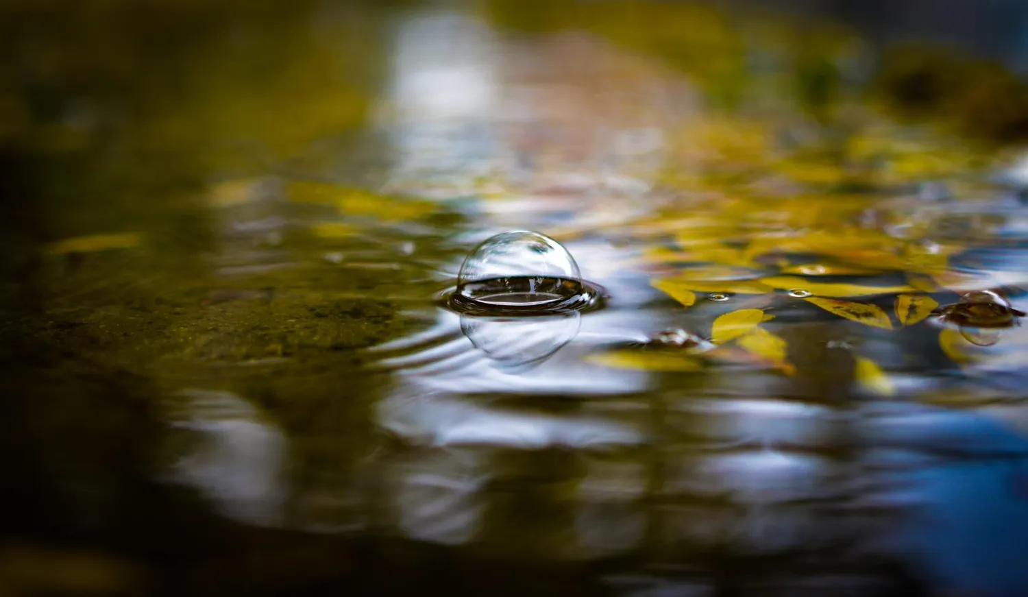 Sigma Art 24mm F/1.4 DG HSM obiettivo Nikon nero