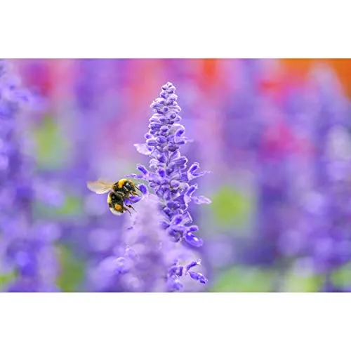 Sigma 105mm F2.8 DG DN Macro Art obiettivo L-mount nero