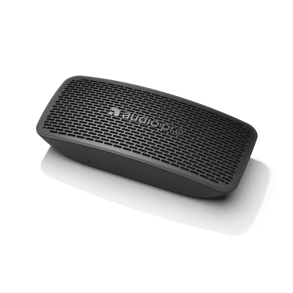 Audio Pro P5 cassa Bluetooth portatile nera IPX4