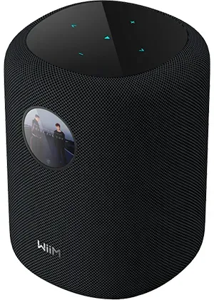 WiiM Sound diffusore wireless nero multiroom touch