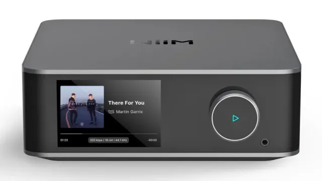 WiiM Ultra Space Grey Streamer Preamplificatore DAC