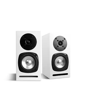 SB Acoustics Micro kit altoparlanti scaffale legno