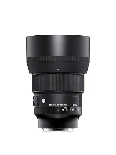 Sigma Art 85mm F1.4 DG DN obiettivo mirrorless Sony E