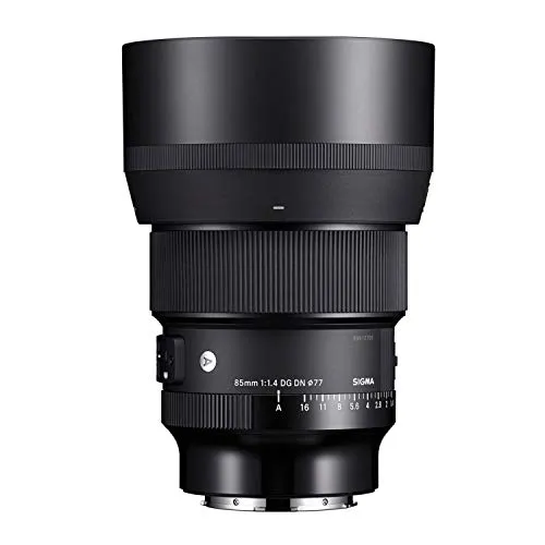 Sigma 85mm F1.4 DG DN obiettivo L-Mount ritratto