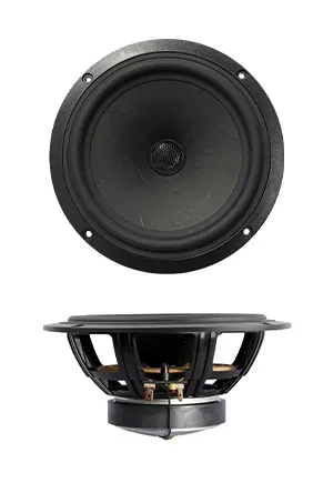 SB Acoustics SB16PFCR25-4-COAX coassiale 6" carta 4 ohm