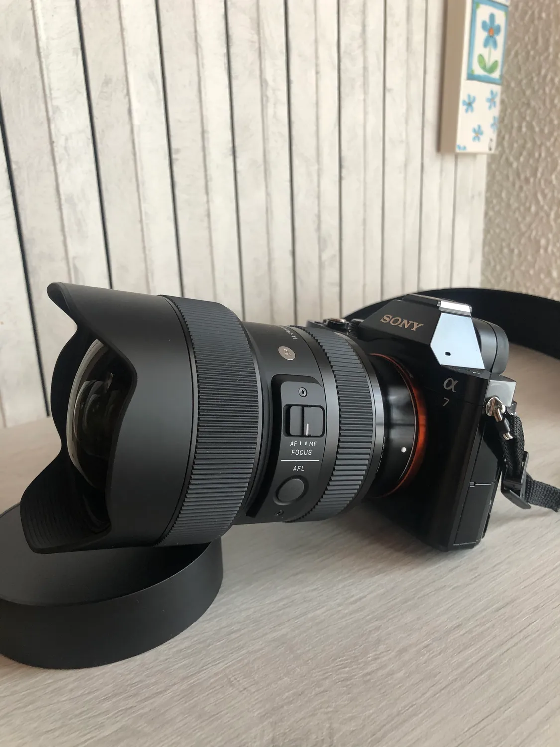 Sigma Art 14-24mm F2.8 DG DN obiettivo Sony E full frame