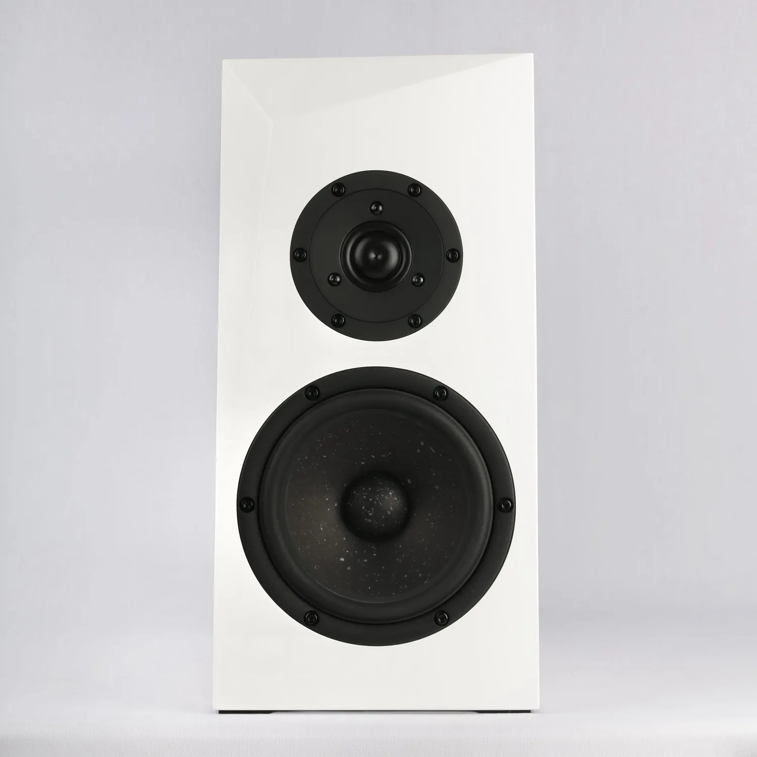 SB Acoustics Ara Kit Diffusori Scaffale 2 Vie