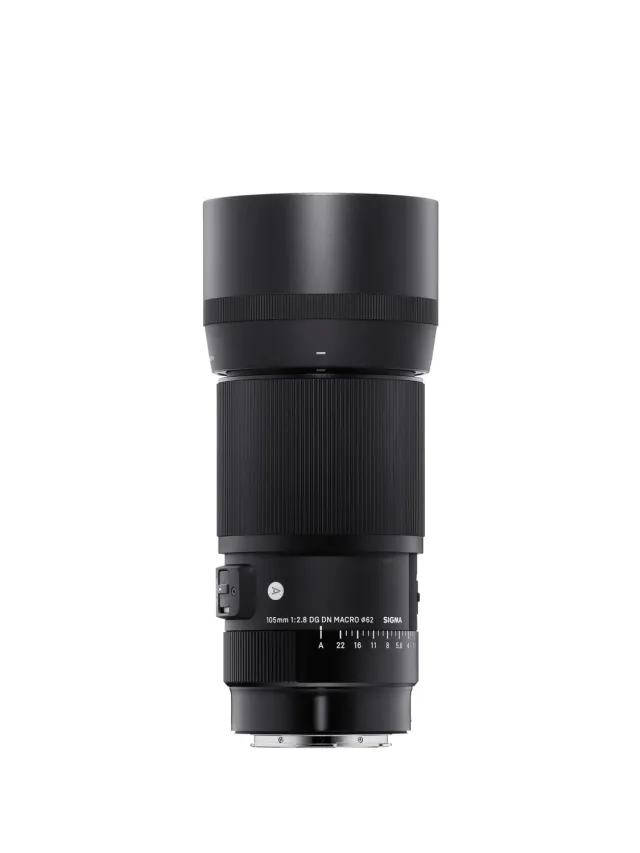 Sigma 105mm F2.8 DG DN Macro Art obiettivo Sony E